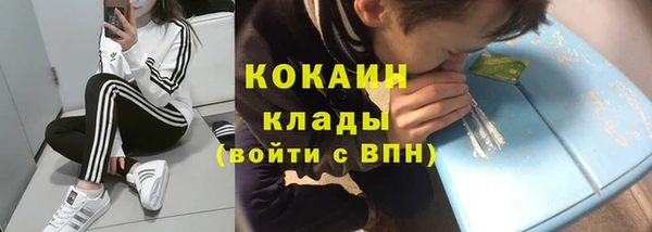 гидра Алексин