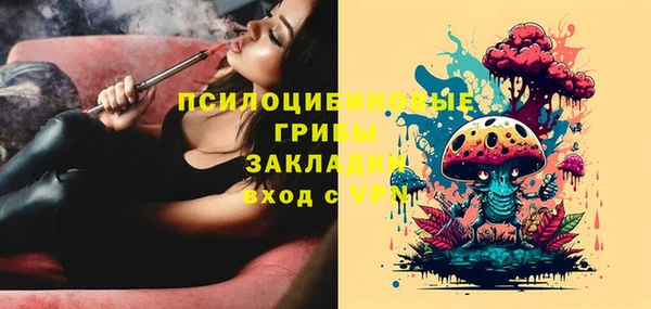 дживик Алексеевка